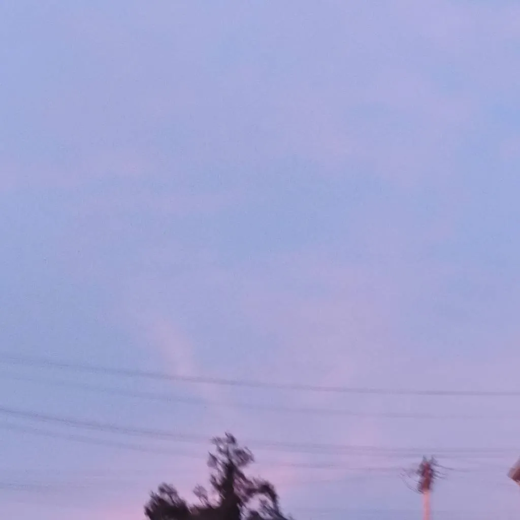 chat with ai character: DW Roommate!