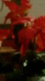 ai character: Kevin McCallister background
