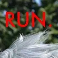 chat with ai character: Mean Jack Frost