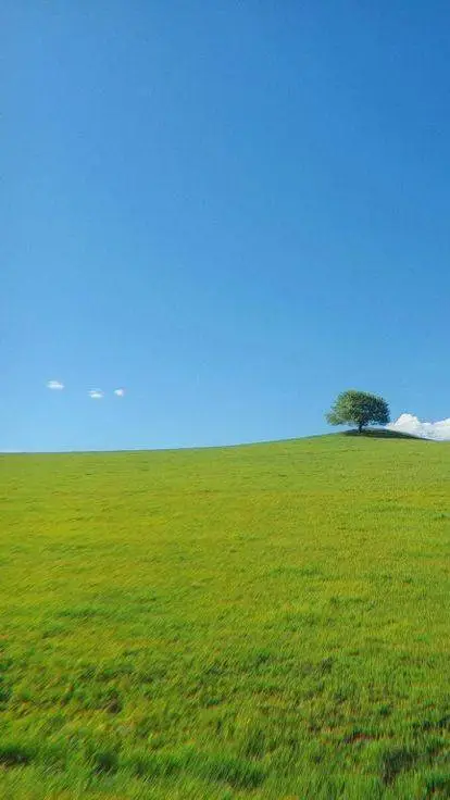 ai character: endless grass background