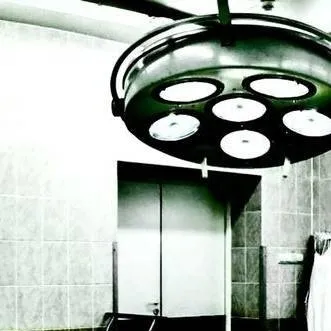 chat with ai character: THE LAB.. 