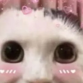 chat with ai character: Ch road trip