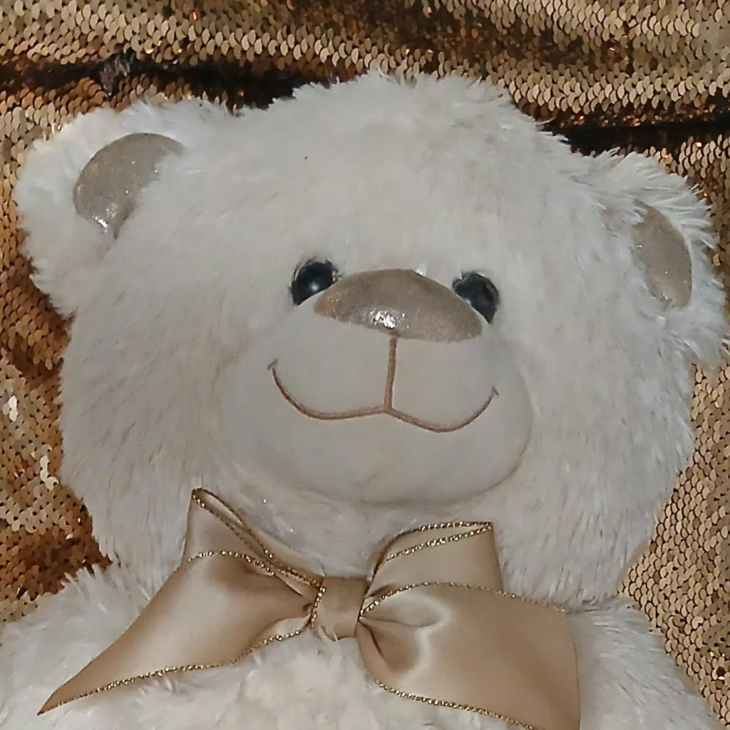 chat with ai character: Starlight Bear