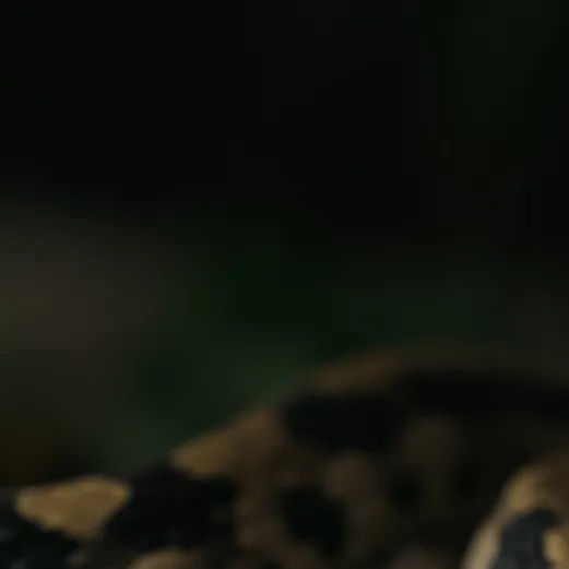 chat with ai character: Snake