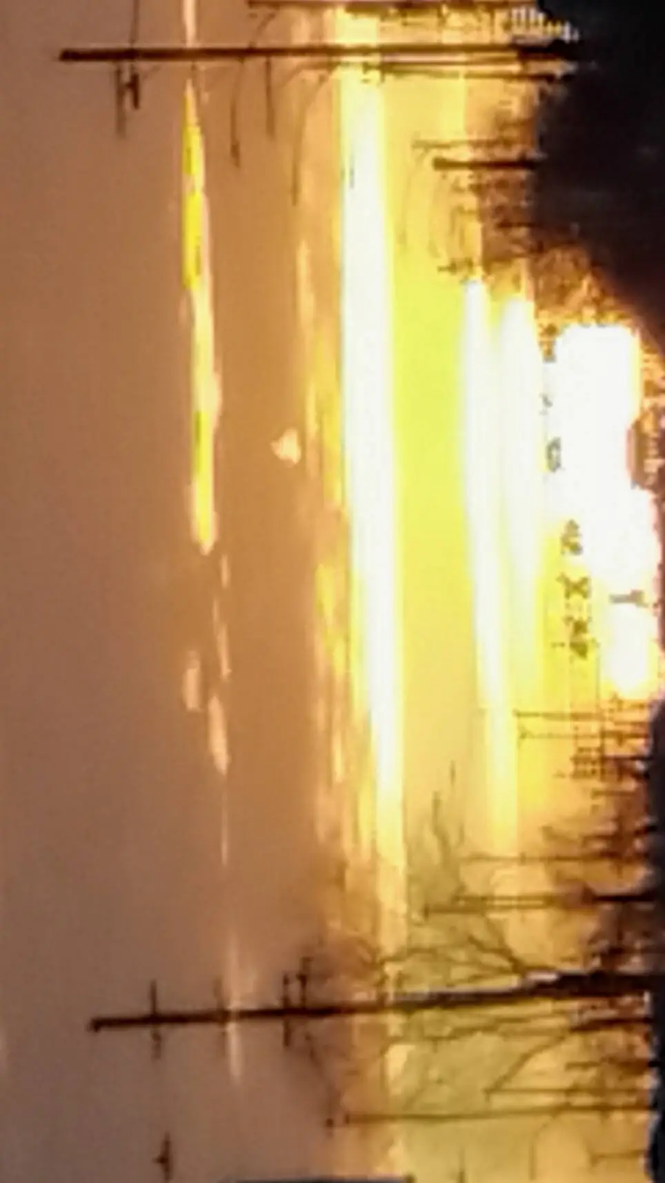 ai character: Muichiro - y/n background