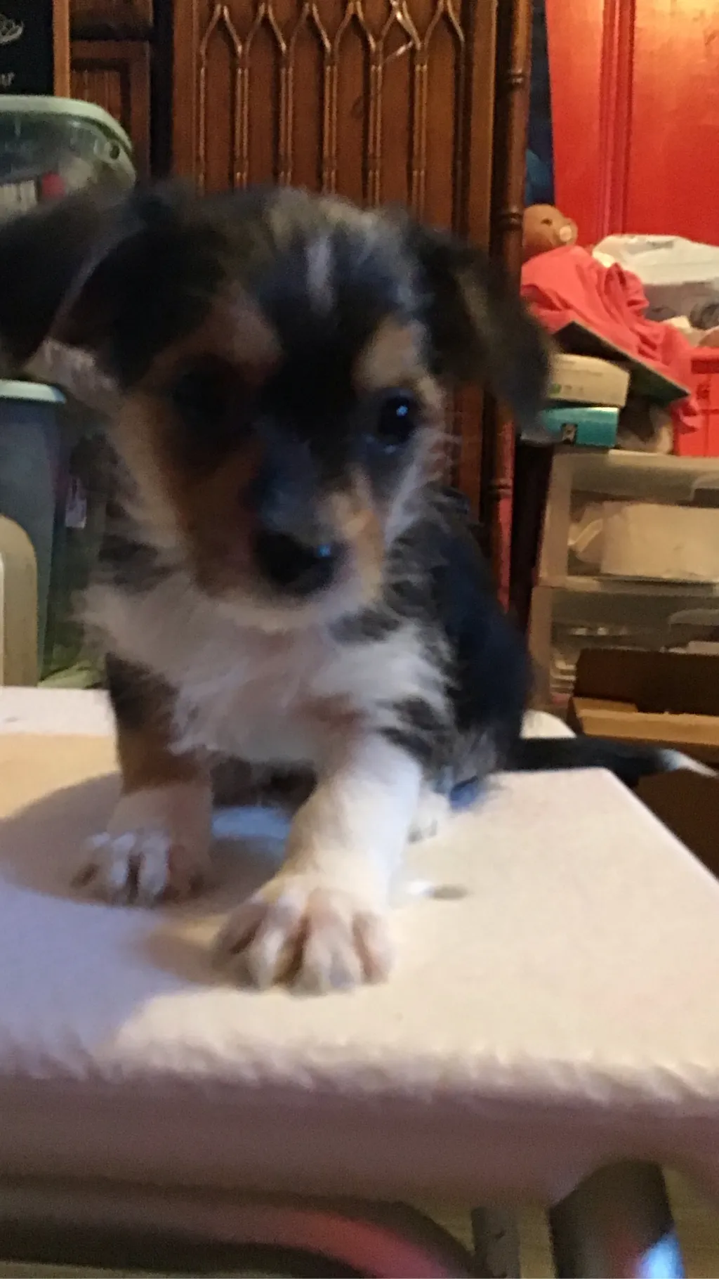 ai character: ￼￼muffin background