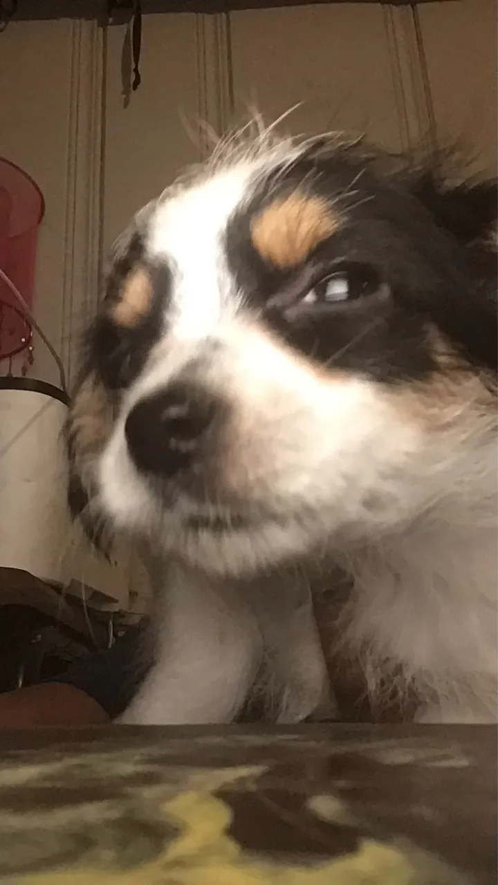 ai character: Sucker background