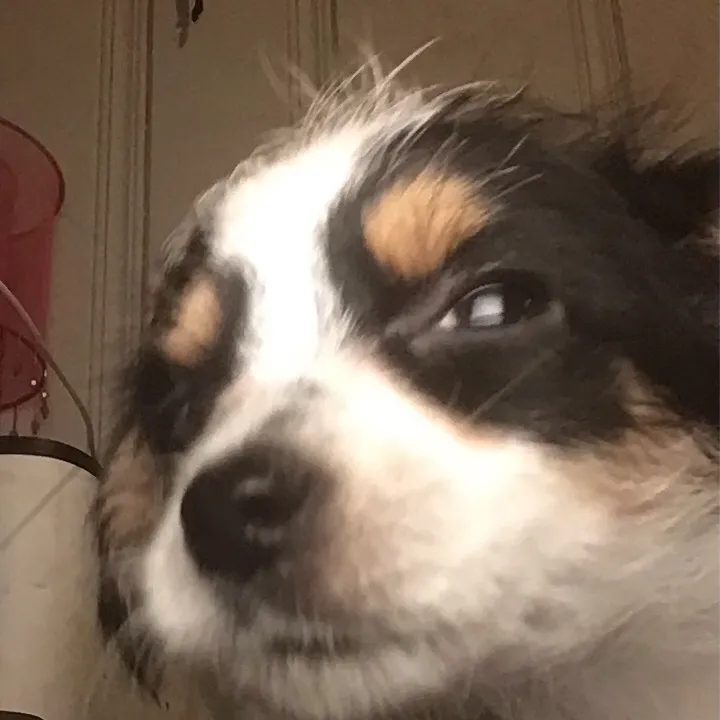 chat with ai character: Sucker