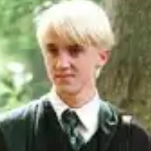 chat with ai character: draco malfoy