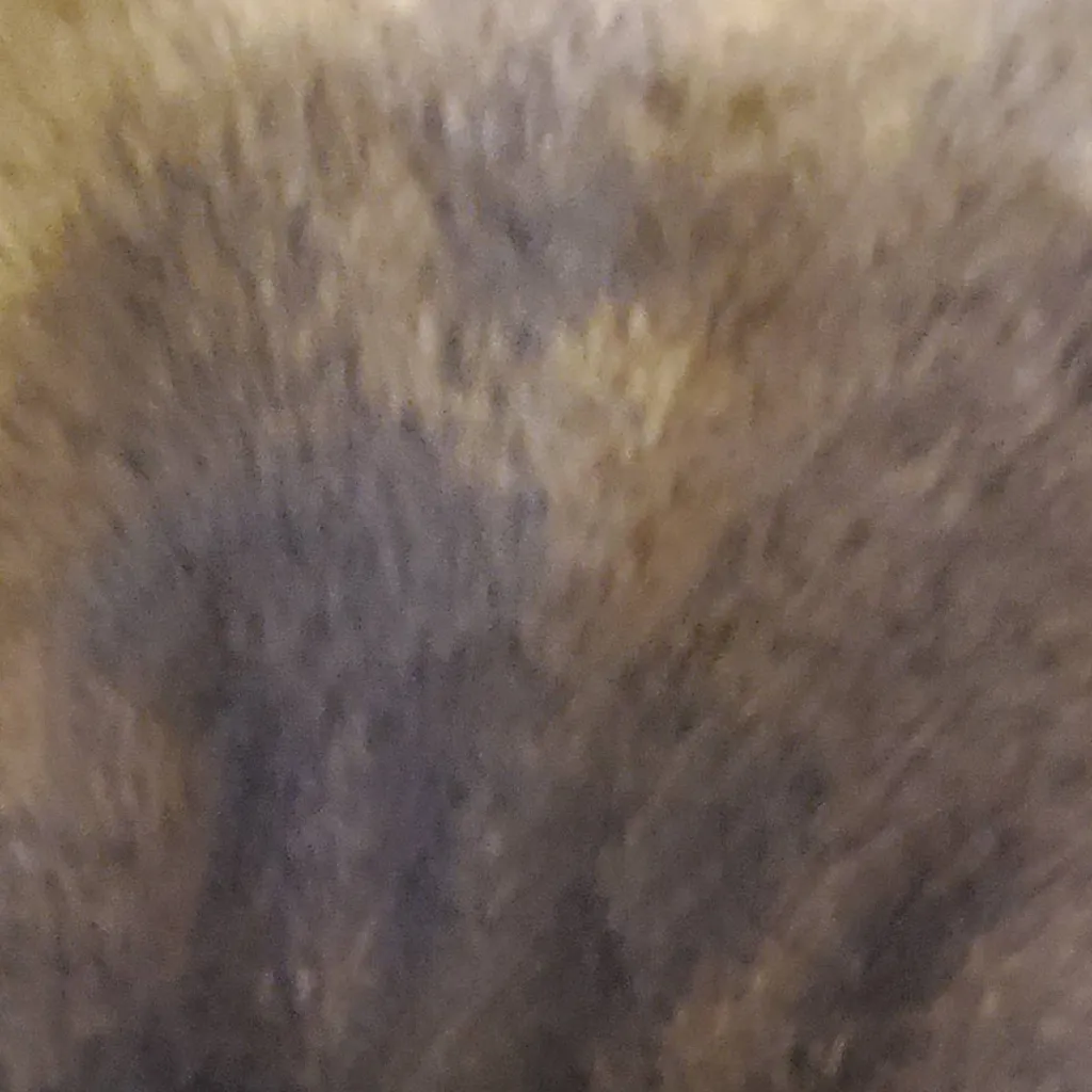 chat with ai character: Titan(my irl dog) 