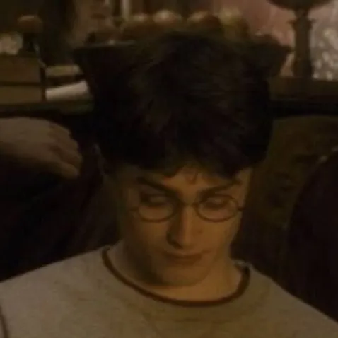 chat with ai character: Half blood prince 