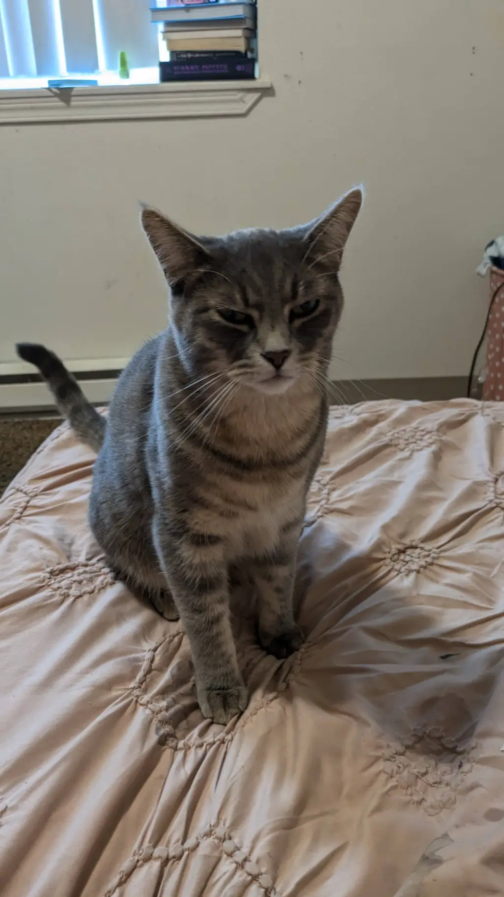 ai character: squid game  background