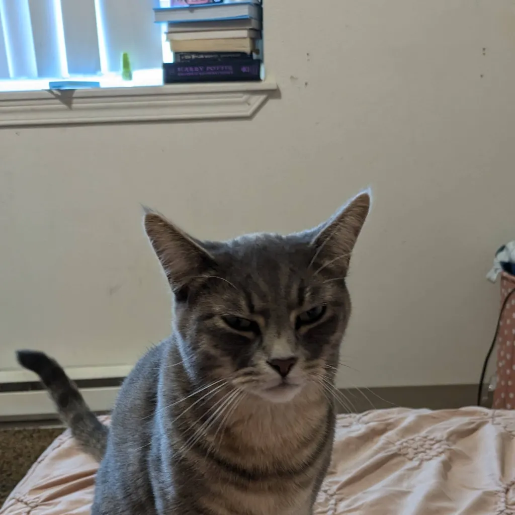 chat with ai character: squid game 