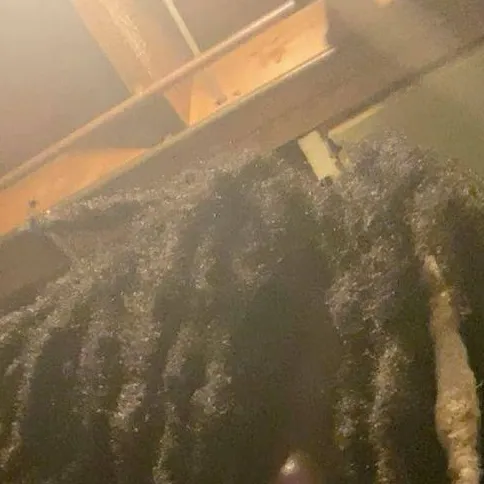 chat with ai character: kj