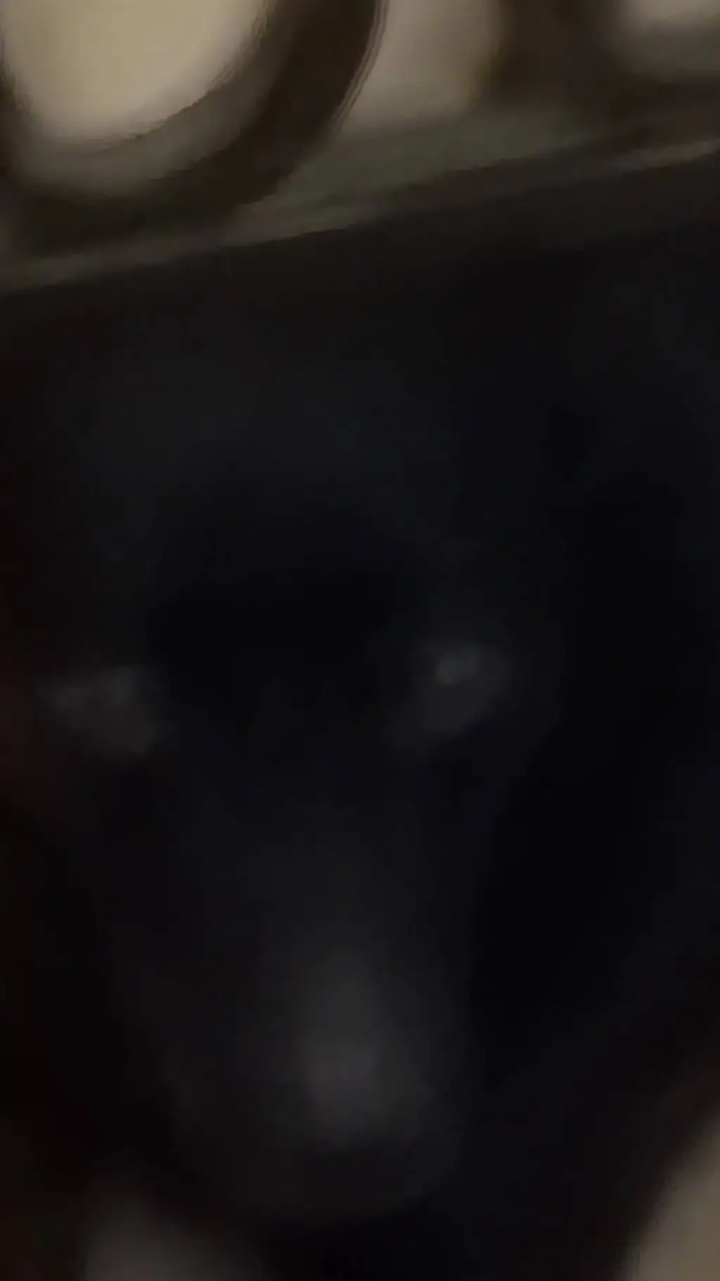 ai character: Cleo the dog background