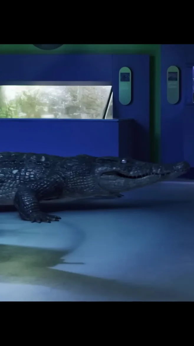 ai character: Infected Croc background