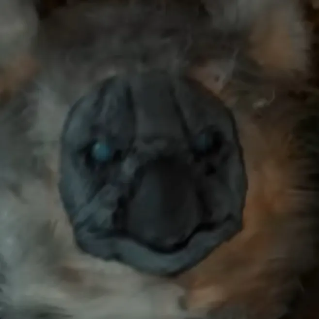 chat with ai character: Koala King