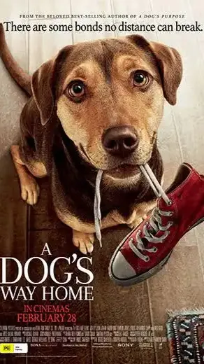 ai character: A dog's way home background