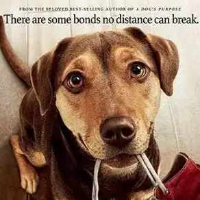 chat with ai character: A dog's way home