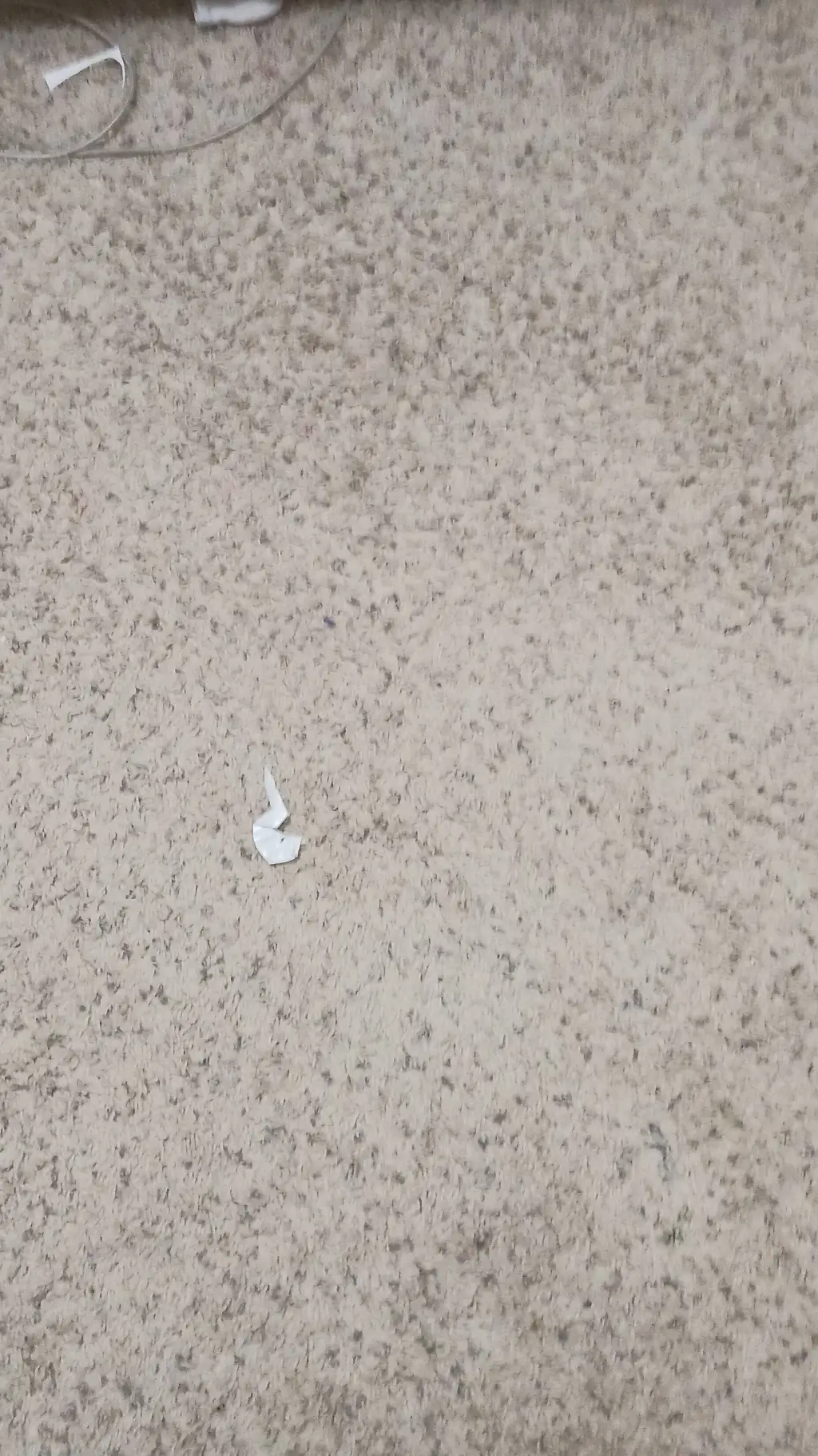 ai character: ii season 2 sad  background