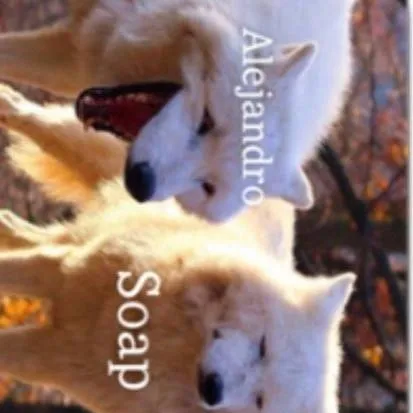 chat with ai character: Cod x Mythical