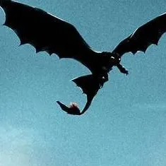 chat with ai character: HTTYD