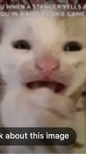 ai character: the screaming cat background