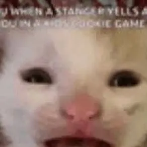 chat with ai character: the screaming cat