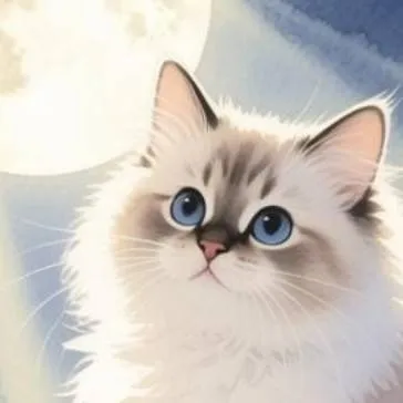 chat with ai character: Itadori X Megumi