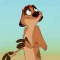 chat with ai character: Timon