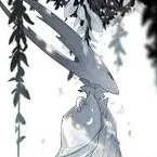 chat with ai character: Pure Vessel