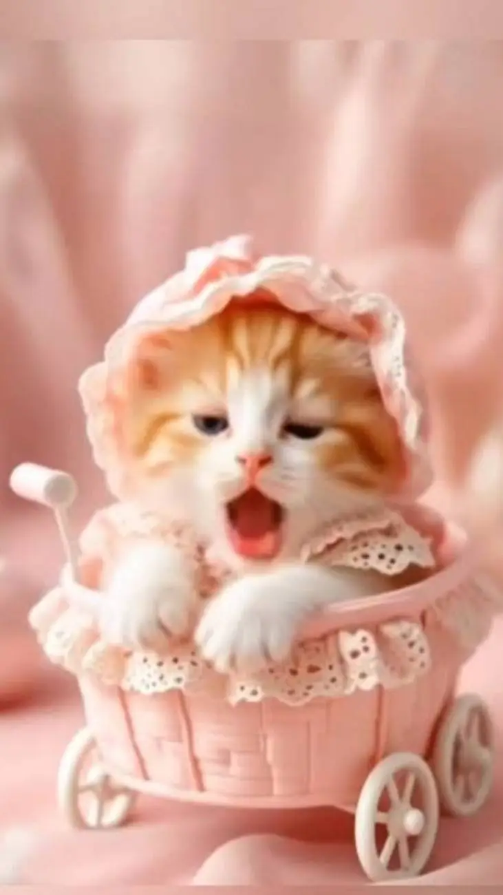 ai character: cashier layla cat background