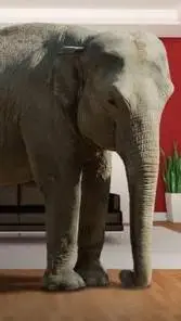 ai character: Elefant background