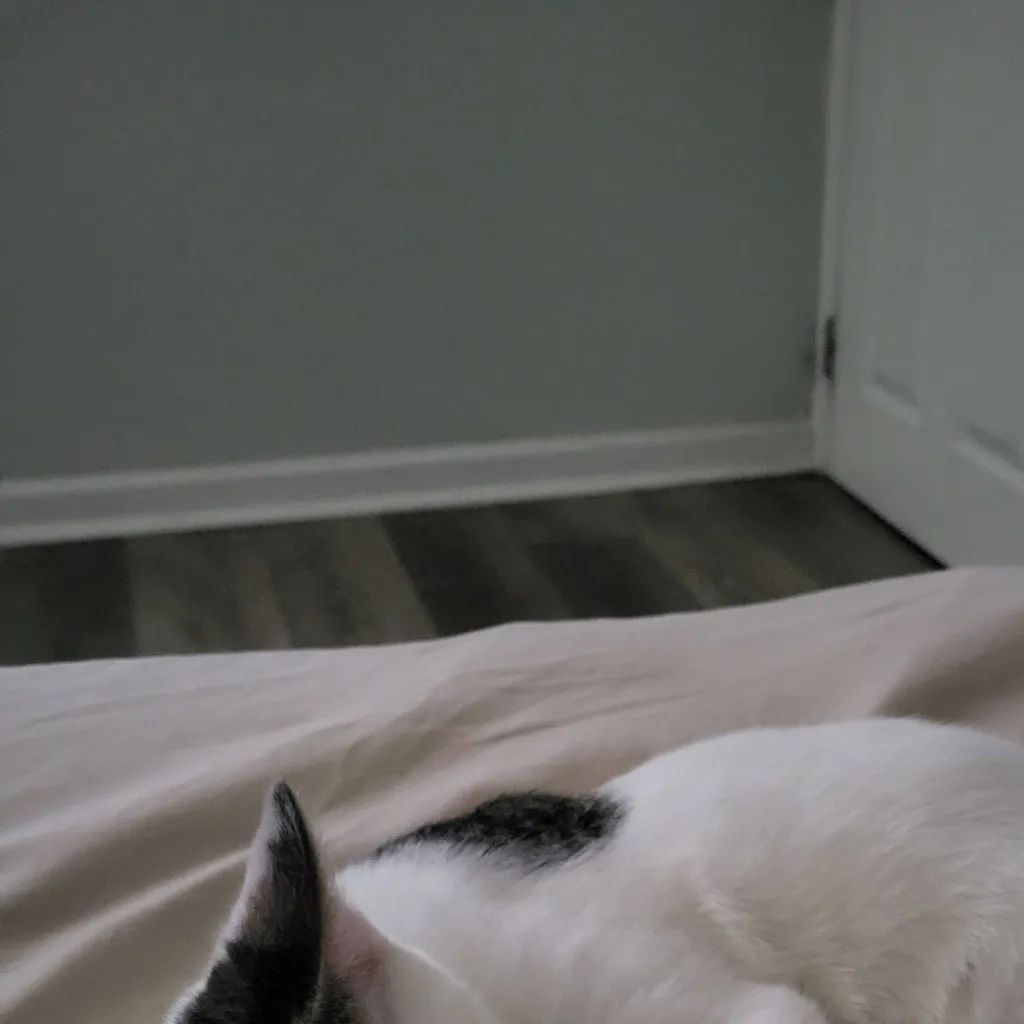 chat with ai character: Make A Greentext.