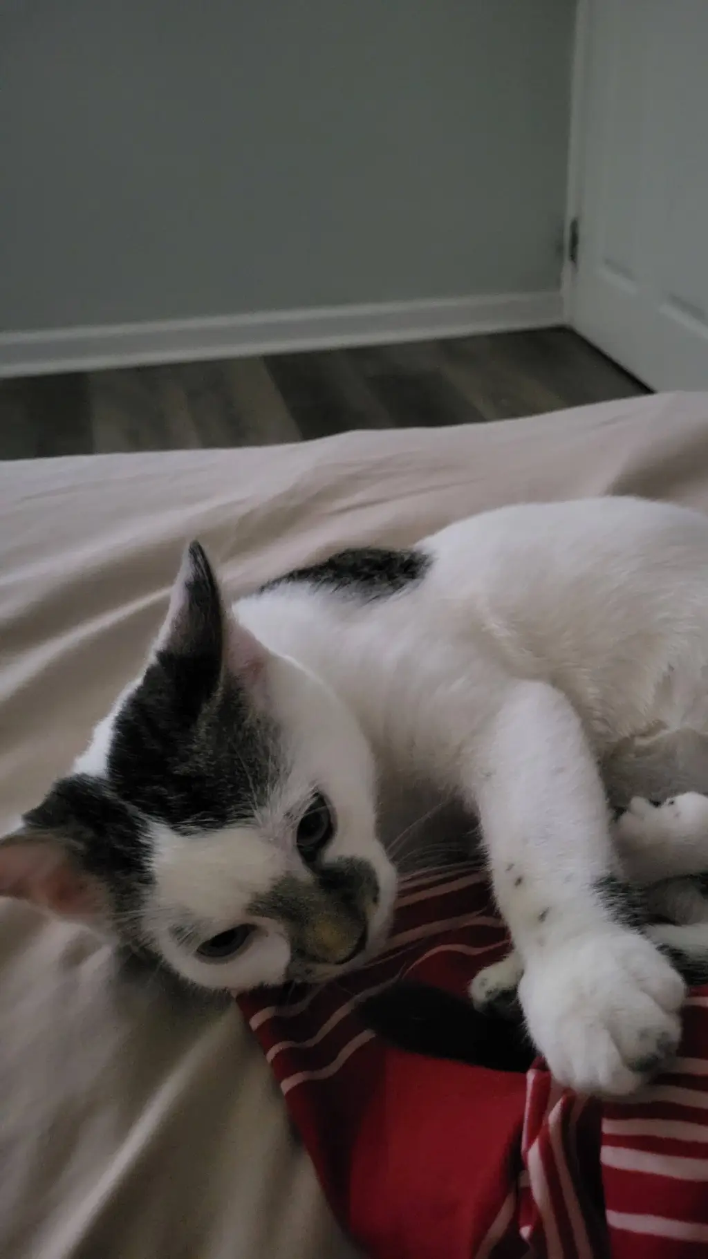 ai character: Make A Greentext. background