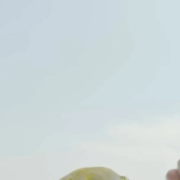 chat with ai character: Pufferfish