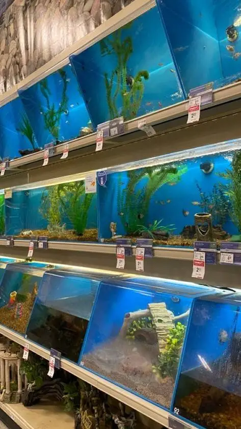 ai character: fish shop background