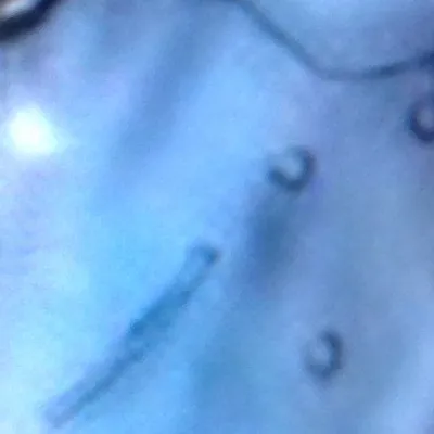 chat with ai character: Ruby