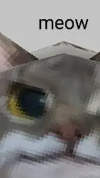 ai character: Kitr background