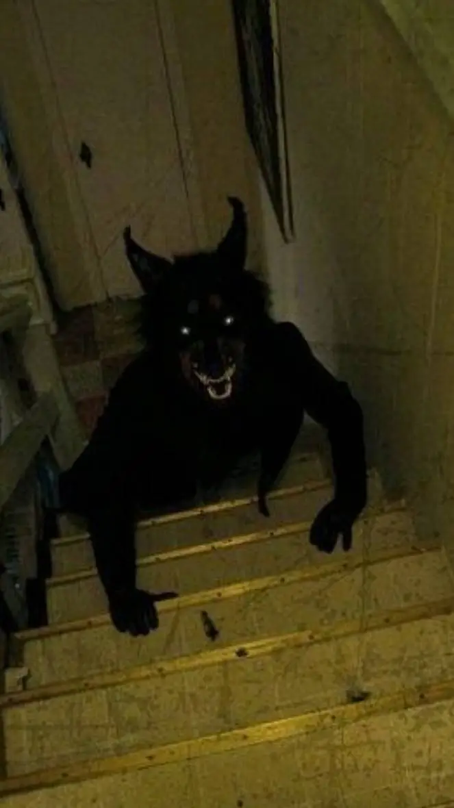 ai character: Skinwalker wife background