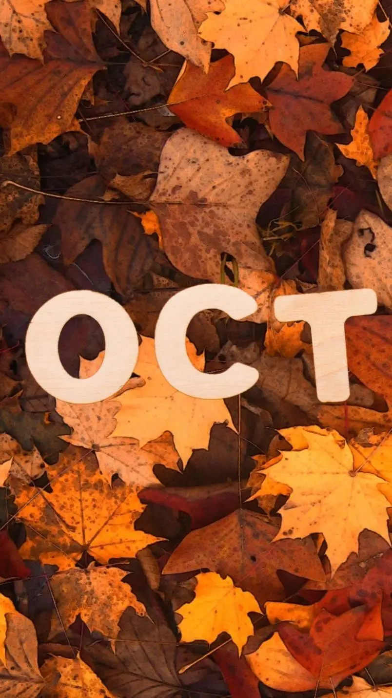 Talkie AI - Chat with October (Spoopy)