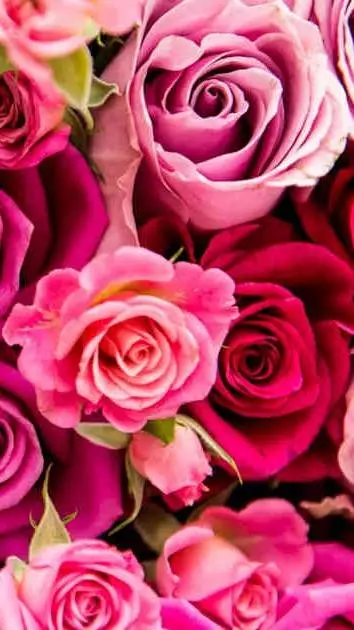 Talkie AI - Chat with MHA (Valentine's D