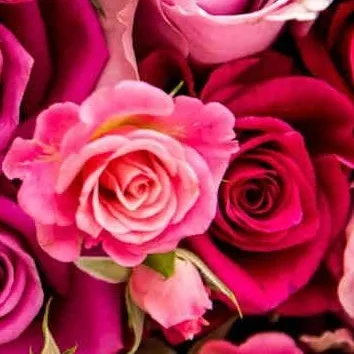 chat with ai character: MHA (Valentine's D