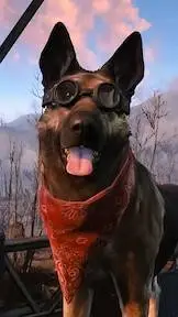 Talkie AI - Chat with Dogmeat