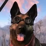 chat with ai character: Dogmeat