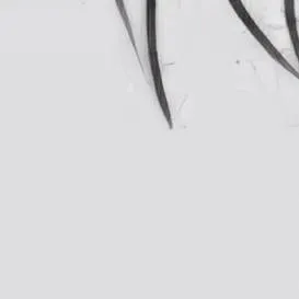 chat with ai character: giyuu 