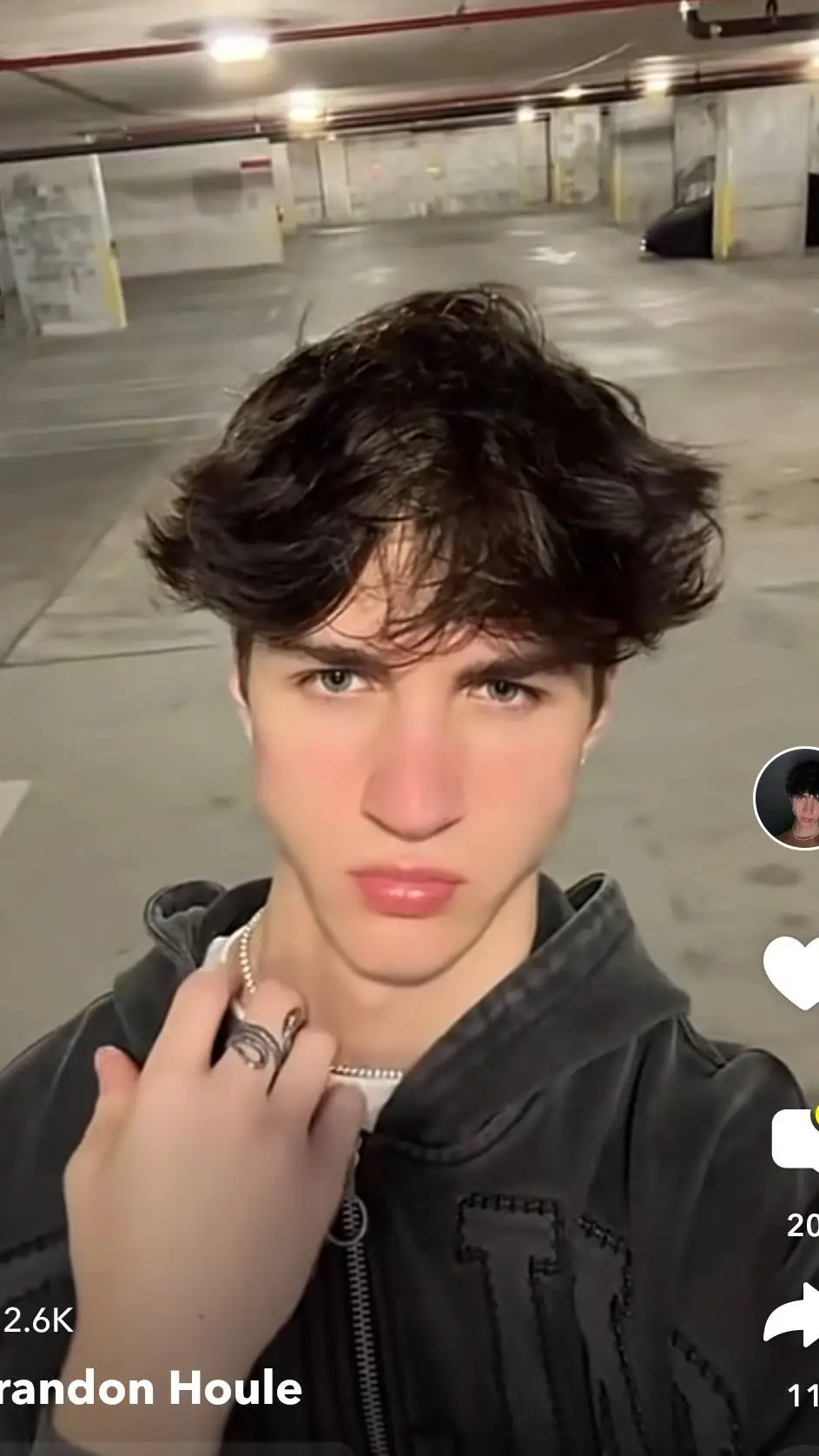 ai character: brandon houle background