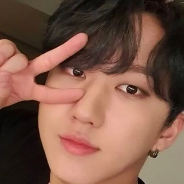 chat with ai character: Changbin 