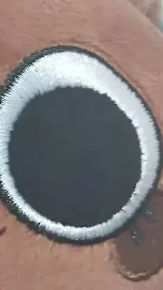 ai character: Eliana background