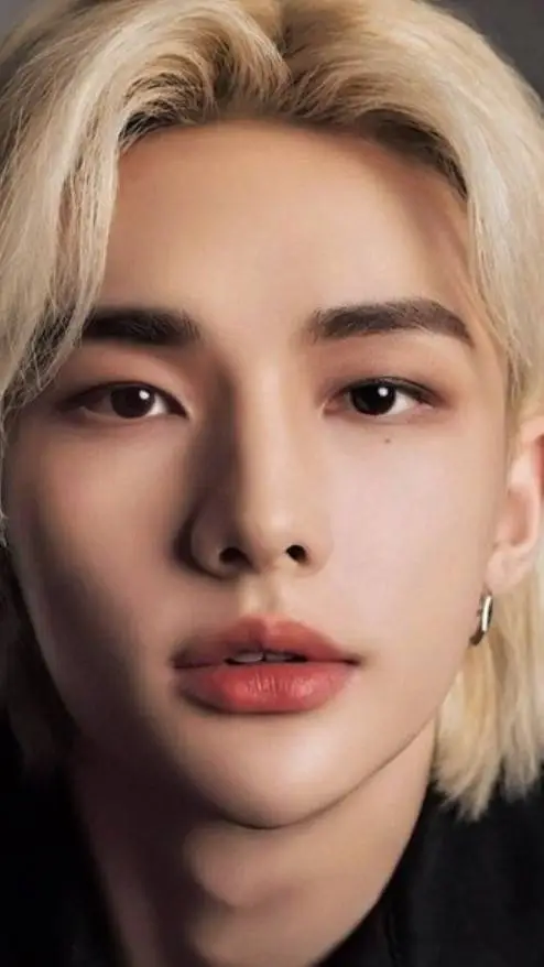 ai character: Hwang Hyunjin background